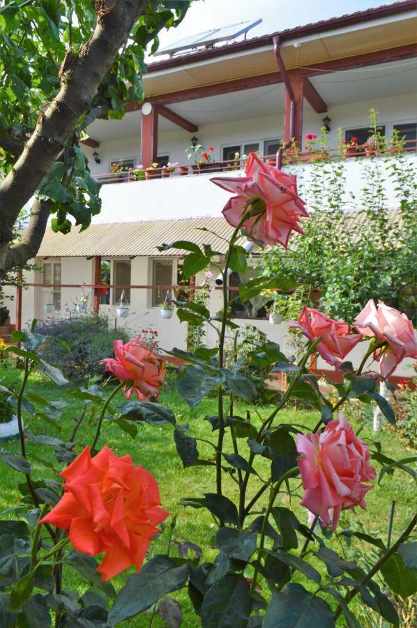 Casa Gia Hotel Costinesti Exterior foto
