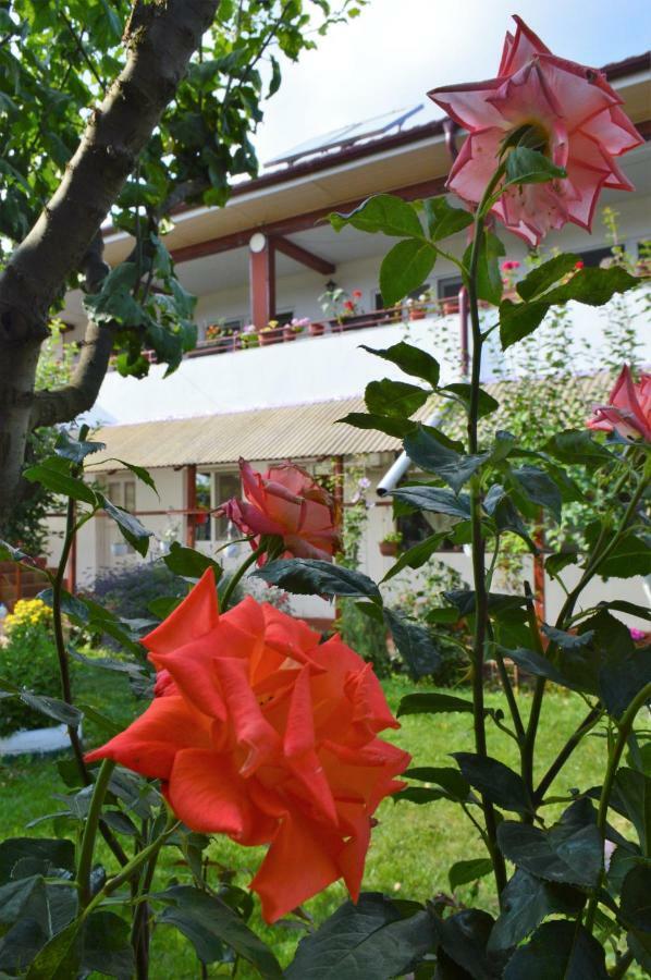 Casa Gia Hotel Costinesti Exterior foto